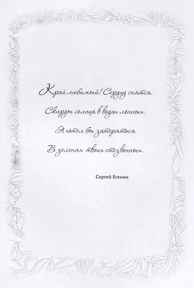 Релакс-раскраска. Уютный мир - фото 5