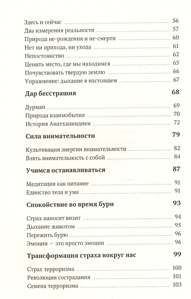 Бесстрашие. Мудрость, которая позволит вам пережить бурю - фото 3