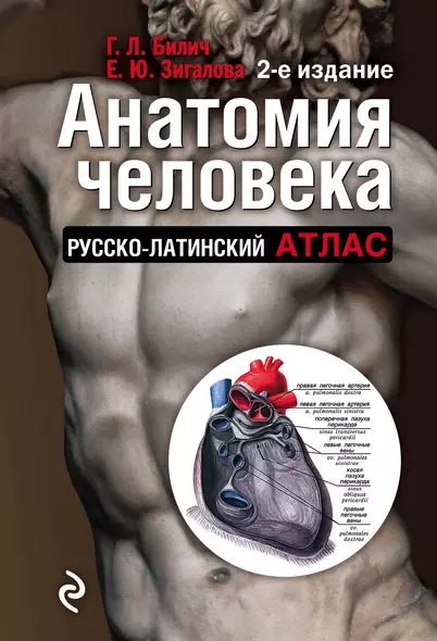 Анатомия человека:рус-лат.атл.2-е изд - фото 1