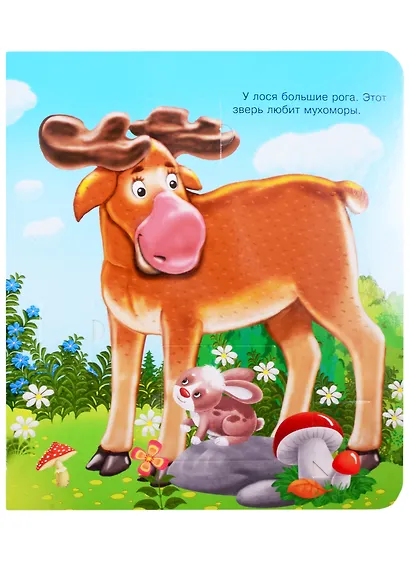 Что? Почему? Зачем? Кто живет в лесу (40 окошек) - фото 5