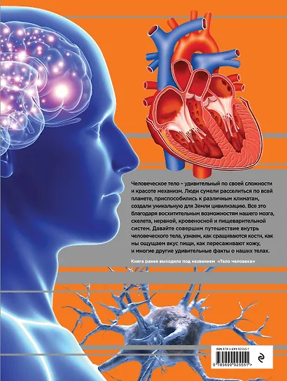 Человек Большая энциклопедия (КЭРаб) (супер) - фото 2