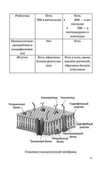 ОГЭ. Биология. Новый полный справочник для подготовки к ОГЭ - фото 10