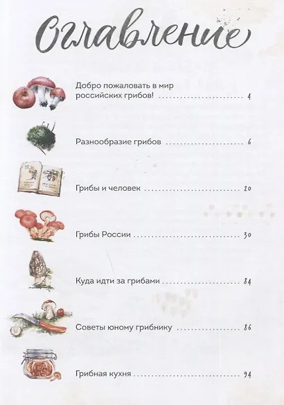 Грибы. Атлас-определитель - фото 7