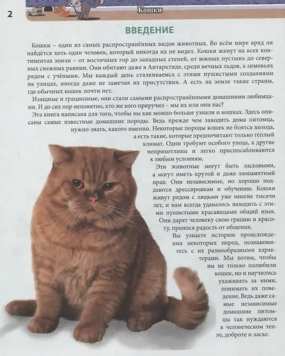 Кошки. Энциклопедия - фото 3