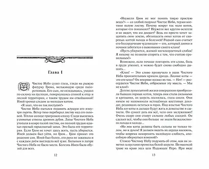 Коты-воители. Первая битва - фото 6