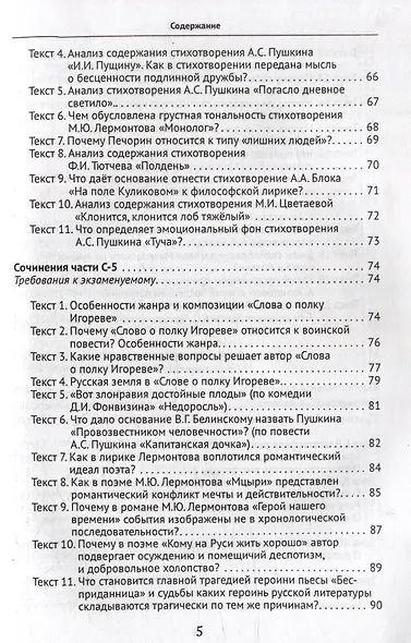 Подготовка к ЕГЭ. Русский язык и литература. Экзаменационное сочинение - фото 5