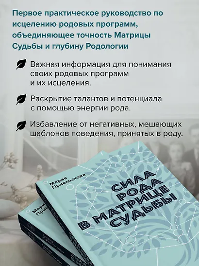 Сила Рода в Матрице судьбы. Как родовые связи влияют на нашу жизнь. Детальный разбор - фото 5
