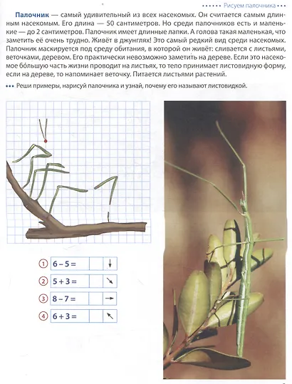 Шагаем по клеточкам. Насекомые. Графические диктанты детям 6-7 лет - фото 3