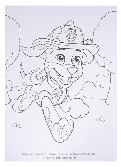 Раскраска-люкс № РЛ 2005 ("Щенячий патруль") - фото 2