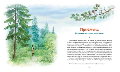 Серая шейка. Рассказы - фото 7