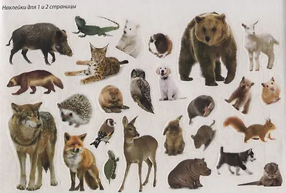 Животные со всего света - фото 5