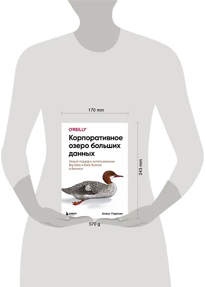 Корпоративное озеро больших данных. Новый подход к использованию Big Data и Data Science в бизнесе - фото 7