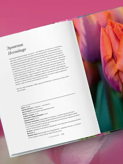 Тюльпаны. Великолепные цветы для дома и сада - фото 9