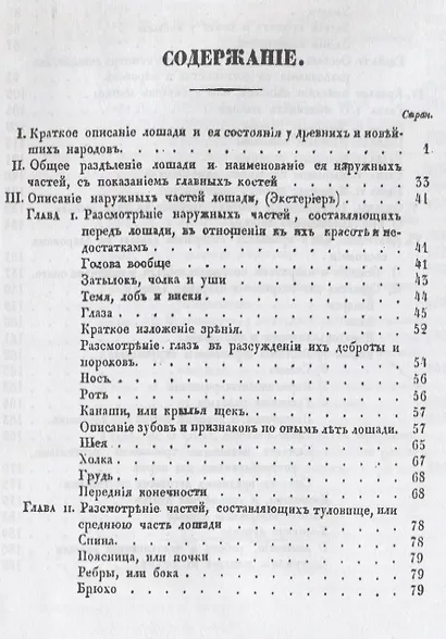 Краткая иппология. О правилах содержания лошади в здоровом состоянии - фото 2