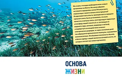Тайны морей и океанов. Большая иллюстрированная энциклопедия - фото 14