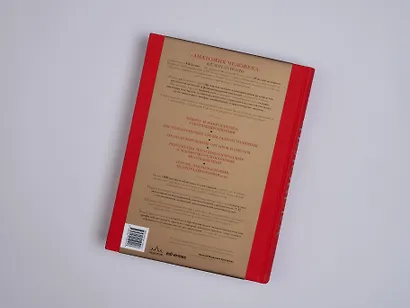 Анатомия человека. Эксклюзивное издание с 50-летней историей. Том 1 - фото 12