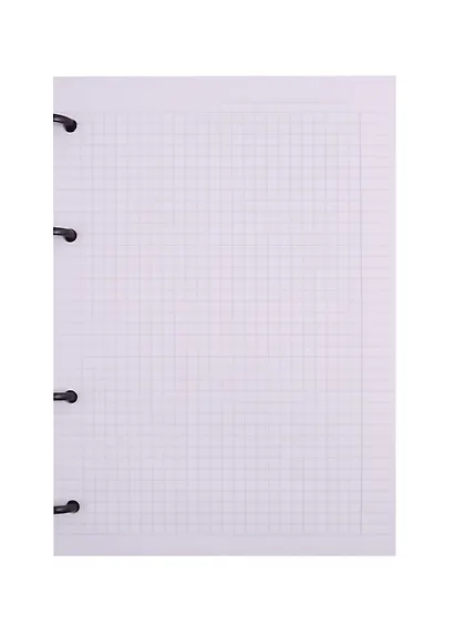 Тетрадь на кольцах в клетку InFolio, Rame, 120 листов - фото 2