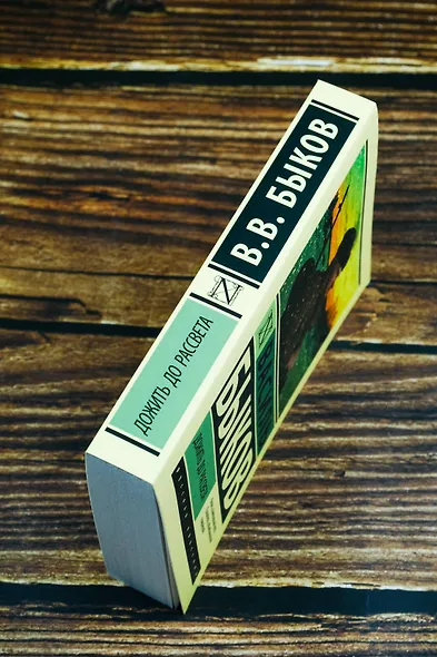 Дожить до рассвета - фото 6