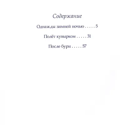 Однажды зимней ночью - фото 3