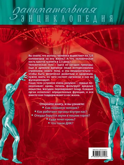Тело человека: иллюстрированный путеводитель - фото 2