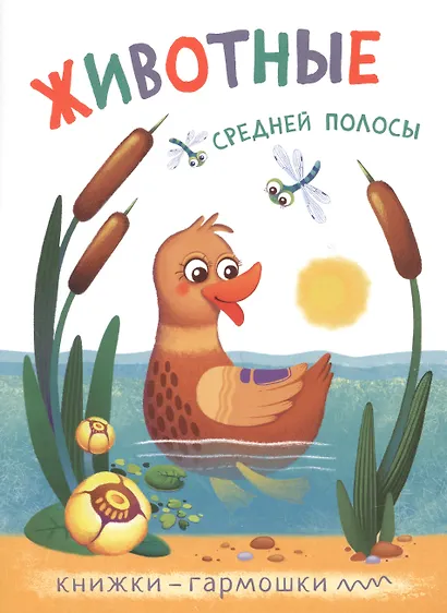 Книжки-гармошки (комплект из 4 книг) - фото 2