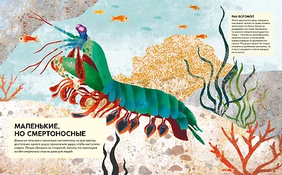 Удивительные животные. Самые-самые - фото 8