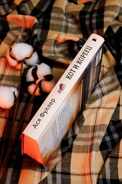 Кот и кореец - фото 7