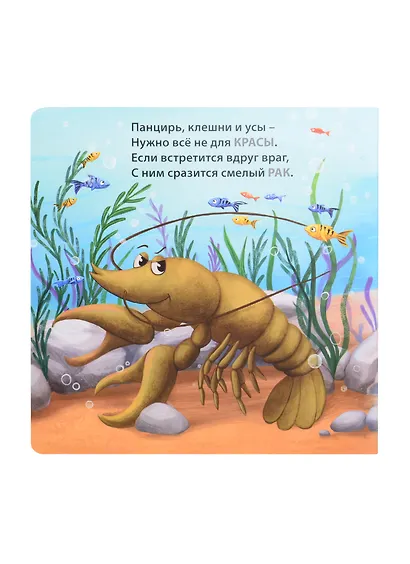 Кто живёт в воде. Загадки-рифмы - фото 4