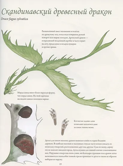 Северные драконы и искусство их обнаружения - фото 4