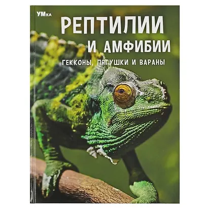 Рептилии и амфибии. Гекконы, лягушки и вараны. Энциклопедия - фото 1