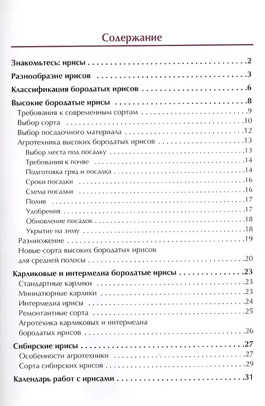 Ирисы - фото 2