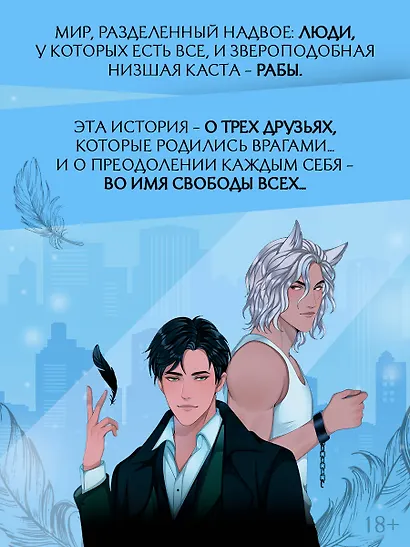 Потерянные крылья - фото 5