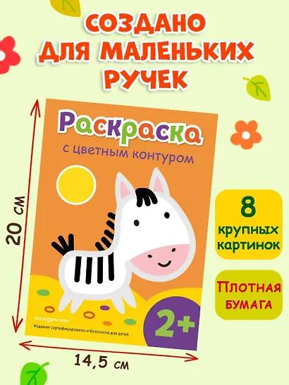 Раскраска с цветным контуром (Зебра) - фото 7