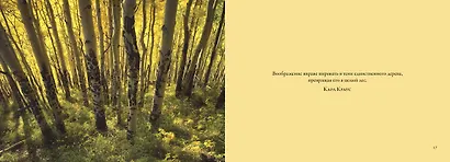 Деревья. Красота и гармония - фото 6