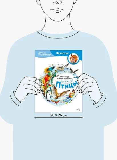 Птицы. Детская энциклопедия (Чевостик) - фото 8