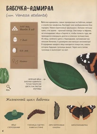 Кто появляется на свет из яйца? - фото 6