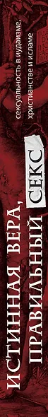 Истинная вера, правильный секс. Сексуальность в иудаизме, христианстве и исламе - фото 4