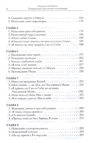 Евангелие от Иоанна Исторический и богословский комментарий - фото 3