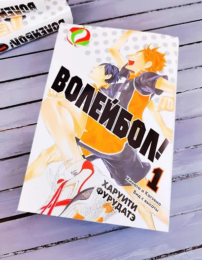 Волейбол! Том 1 - Хината и Кагэяма. Вид с высоты (Haikyuu!). Манга - фото 10