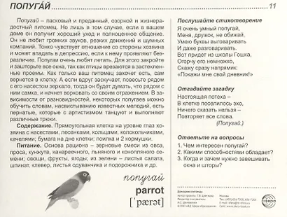 Домашние питомцы. 16 демонстрационных картинок с текстом на обороте - фото 5