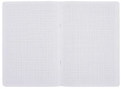 Тетрадь А4 48л кл. "Ultimate Gray" скрепка, мел.картон, выб.лак, печ.пантон, ламинация soft touch, тиснение фольгой - фото 2