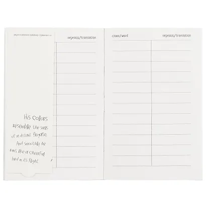 Тетрадь для записи иностранных слов Айрис, "Жираф", А6, 32 листа - фото 3