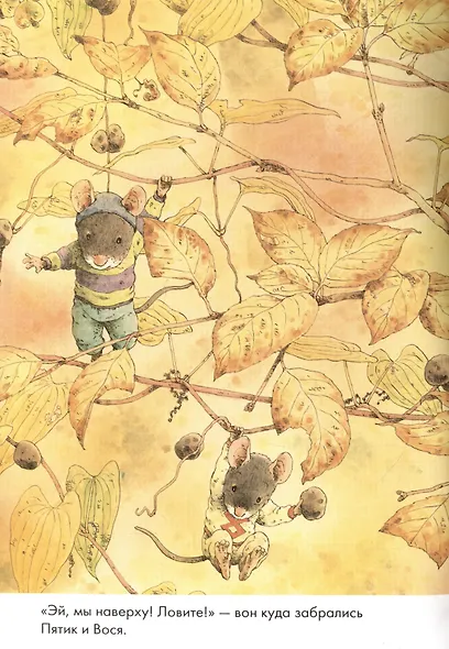 14 лесных мышей. Сладкая картошка - фото 2