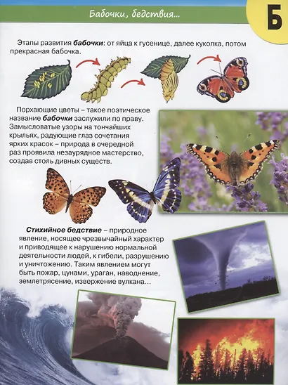 Планета Земля от А до Я - фото 2