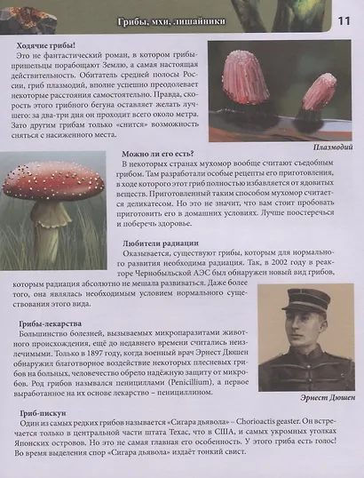 Живая природа. Энциклопедия - фото 4