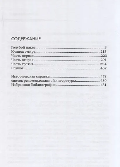 Клинок эмира - фото 2