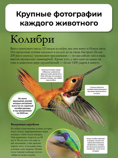 Мир животных - фото 7