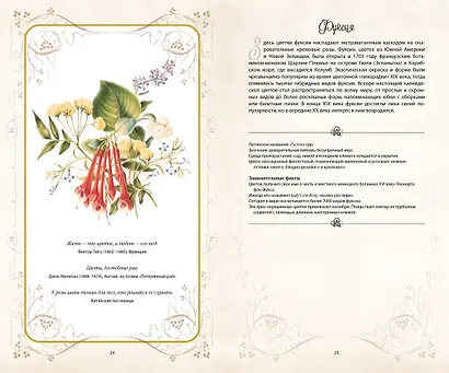 Тайный язык цветов - фото 6