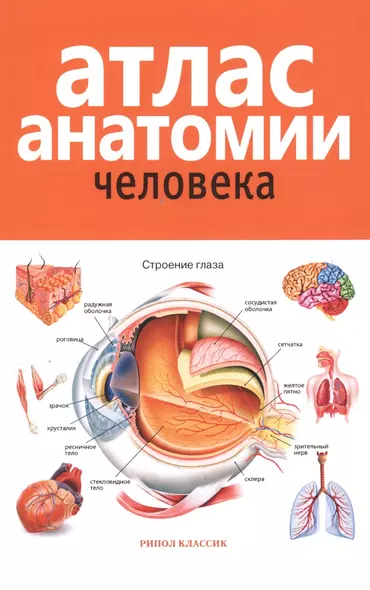 Атлас анатомии человека. 2-е издание, дополненное и переработанное - фото 1