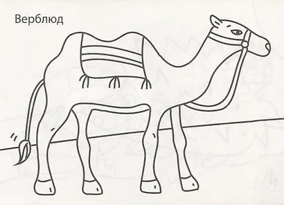 РАСКРАСКИ А5 эконом. альбомные. ЖИВОТНЫЕ - фото 2